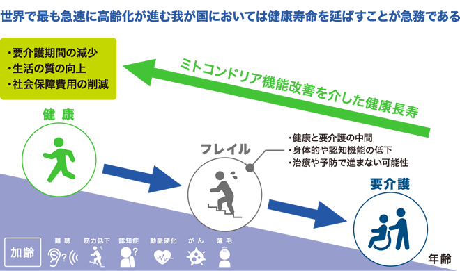 研究概要 図説