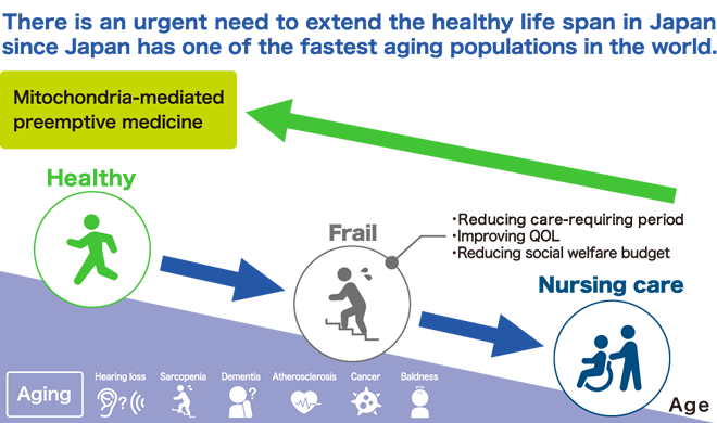 Overview and illustration explanation